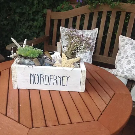 Amazing In Apartamento Norderney